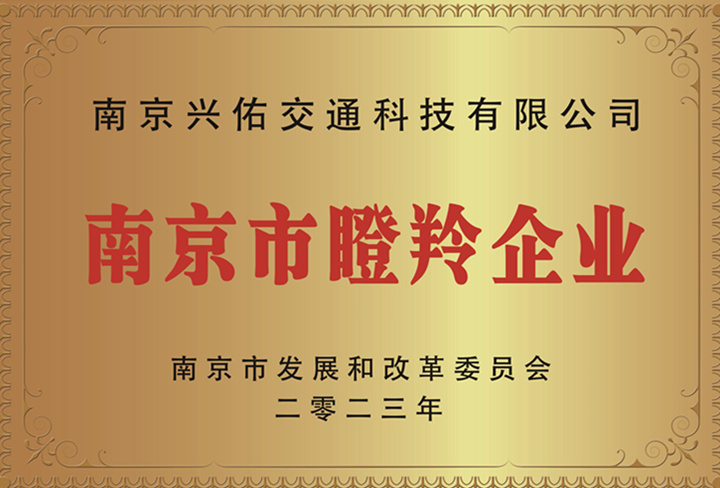 瞪羚企业